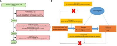 Association between high-density lipoprotein cholesterol and type 2 diabetes mellitus: dual evidence from NHANES database and Mendelian randomization analysis